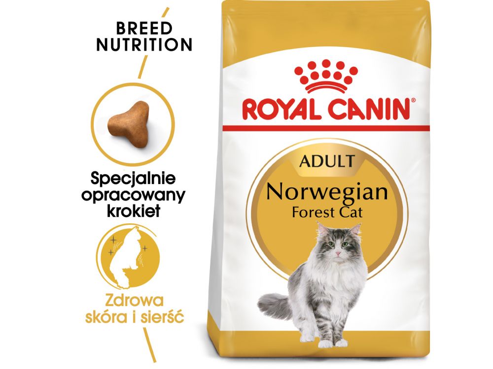 ROYAL CANIN Norvegian Forest Cat Adult karma sucha dla kotów dorosłych rasy norweski leśny 10 KG