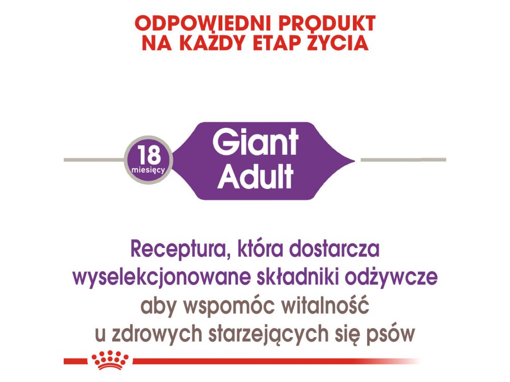 ROYAL CANIN Giant Adult karma sucha dla psów dorosłych, od 18/24 miesiąca życia, ras olbrzymich 15 KG