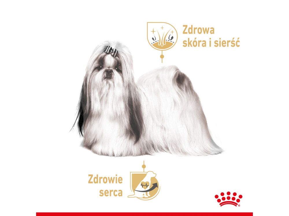 ROYAL CANIN SHIH TZU ADULT KARMA MOKRA - PASZTET, DLA PSÓW DOROSŁYCH RASY SHIH TZU 85 G