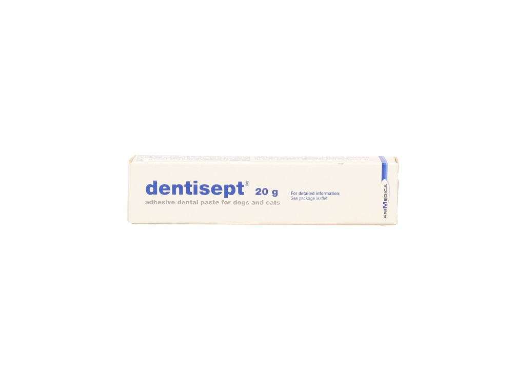 DENTISEPT-DENTIHEX PASTA 20 G