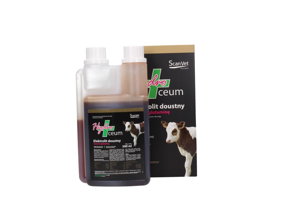 HYDROCEUM 500 ML