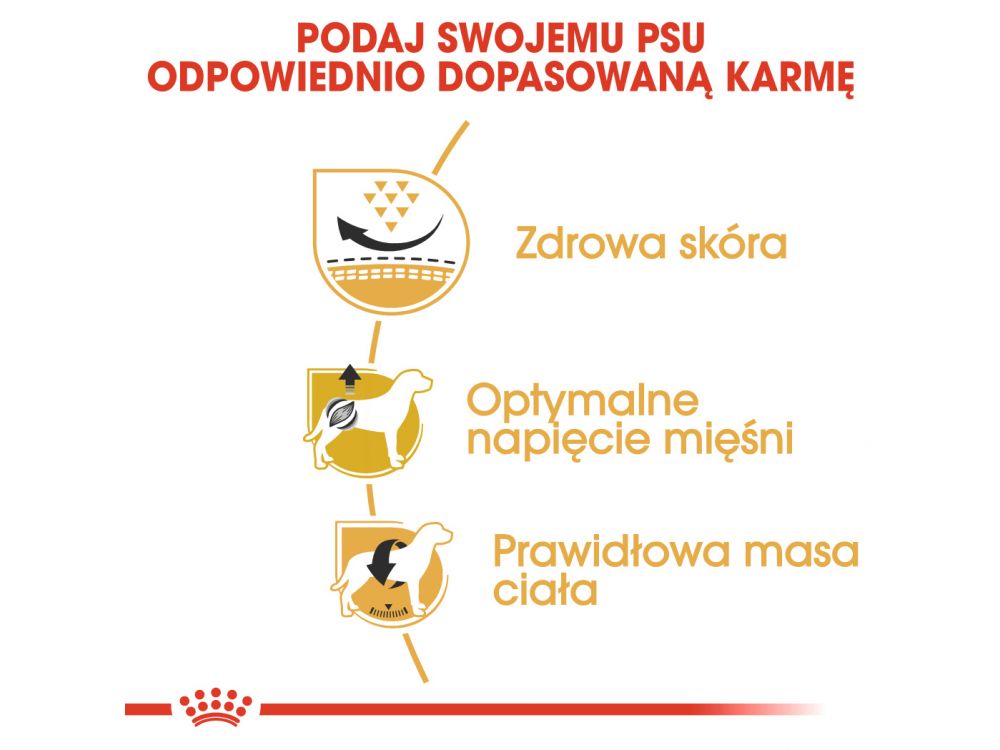 ROYAL CANIN Pug Adult karma sucha dla psów dorosłych rasy mops 1,5 KG
