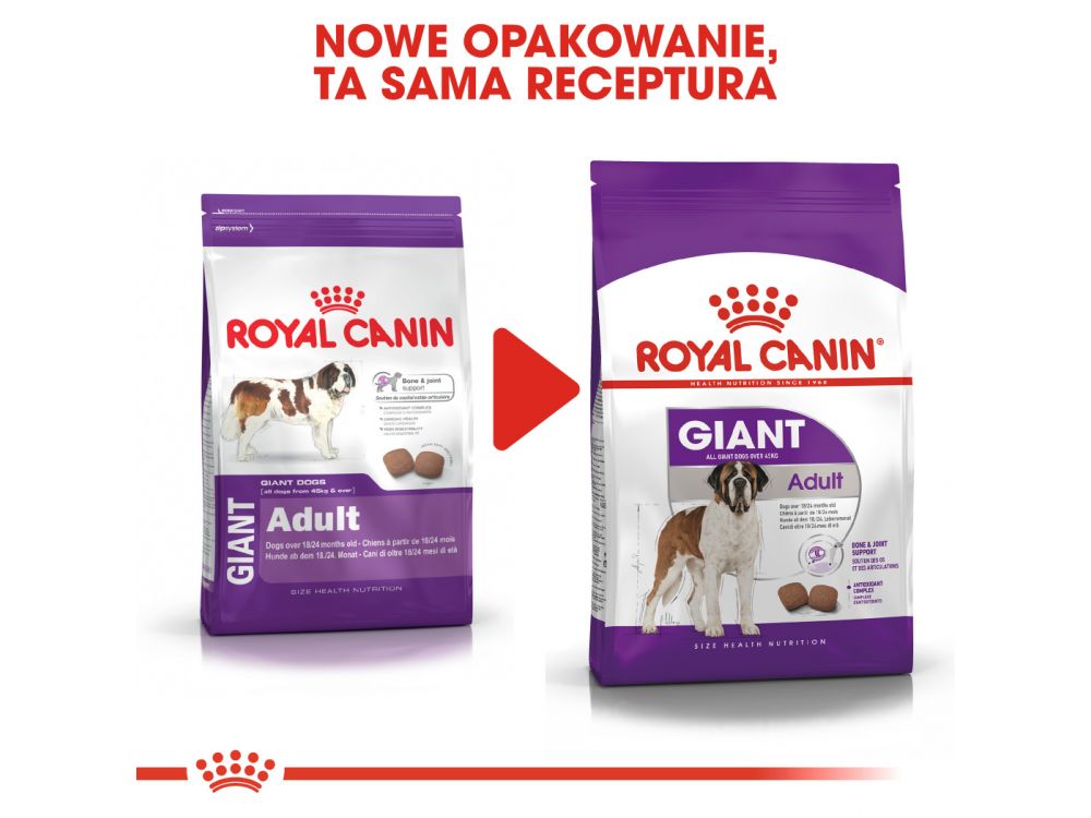 ROYAL CANIN Giant Adult karma sucha dla psów dorosłych, od 18/24 miesiąca życia, ras olbrzymich 15 KG