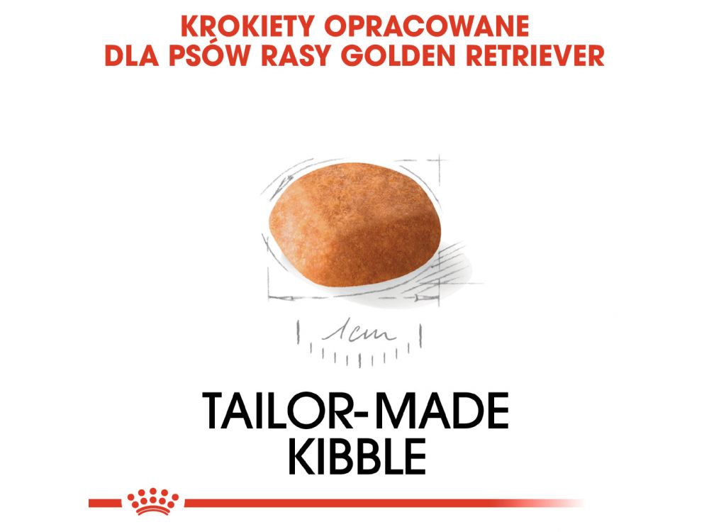 ROYAL CANIN GOLDEN RETRIEVER PUPPY KARMA SUCHA DLA SZCZENIĄT DO 15 MIESIĄCA, RASY GOLDEN RETRIEVER 12 KG