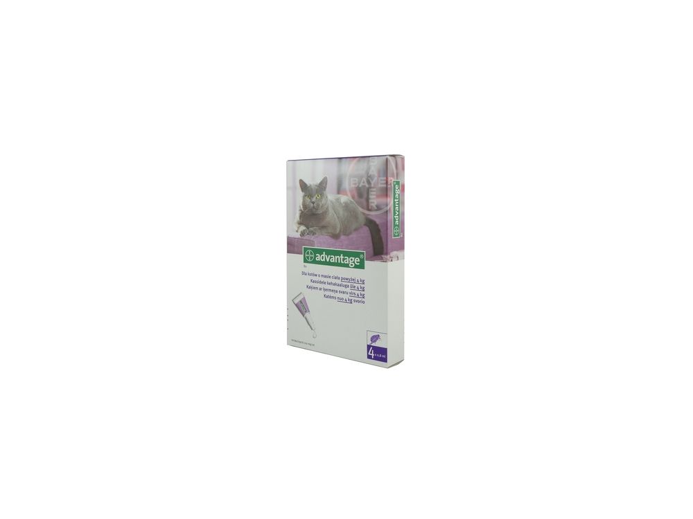 ADVANTAGE KOT 0,8 ML ( POW.4 KG)  ROZTWÓR DO NAKRAPIANIA
