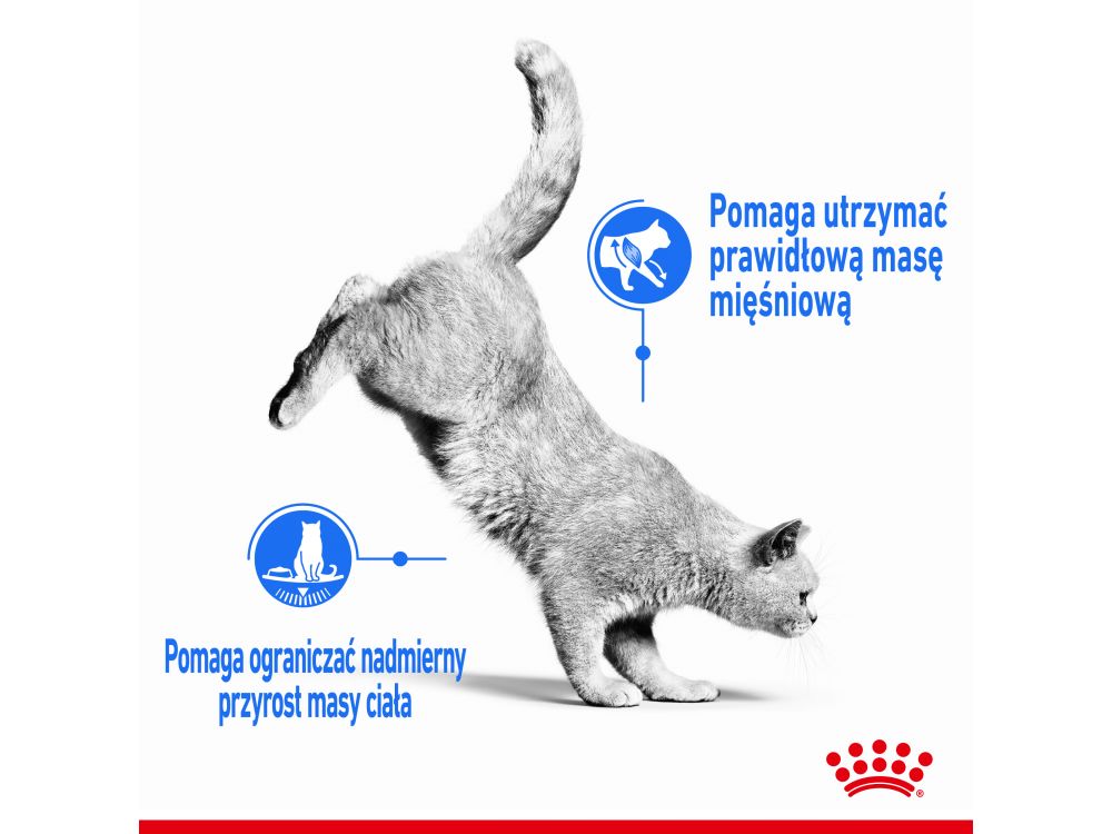 ROYAL CANIN LIGHT WEIGHT CARE 10KG KARMA SUCHA DLA KOTÓW DOROSŁYCH, UTRZYMANIE PRAWIDŁOWEJ MASY CIAŁA