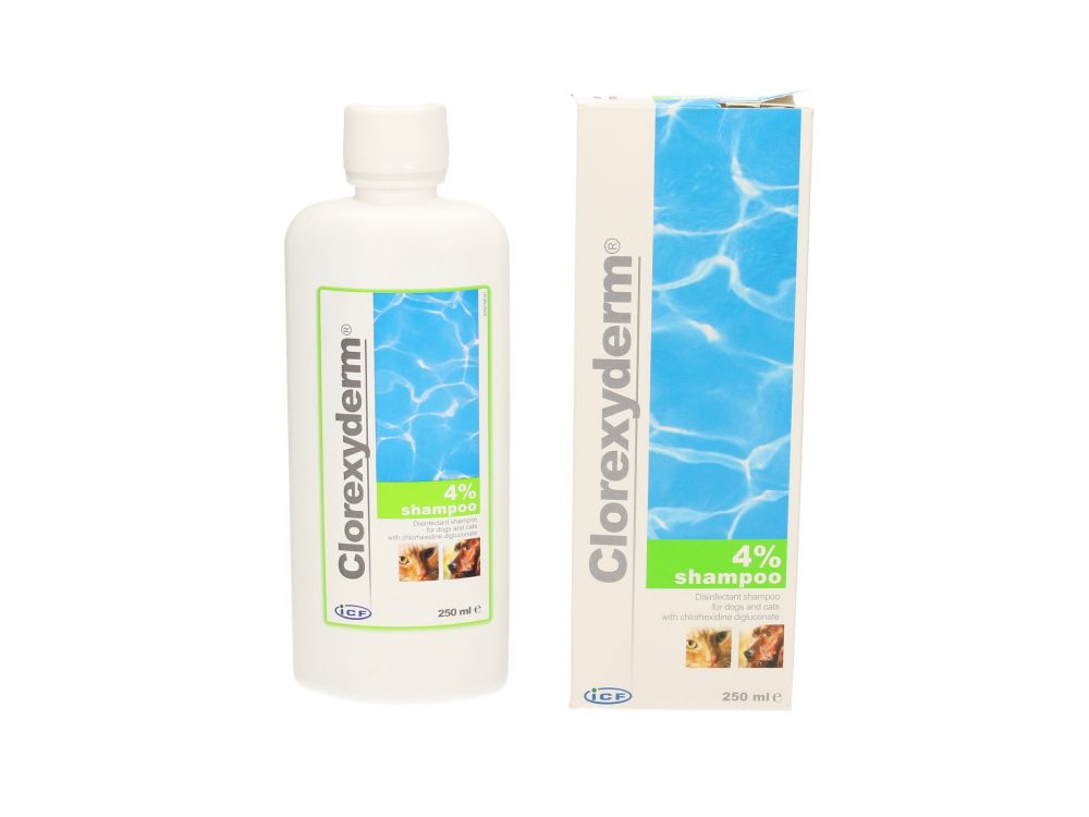 CLOREXYDERM SCHAMPOO 4% 250ML