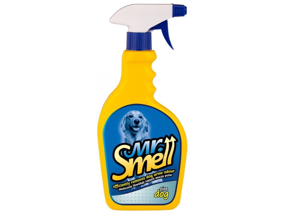 MR.SMELL PIES 500ML