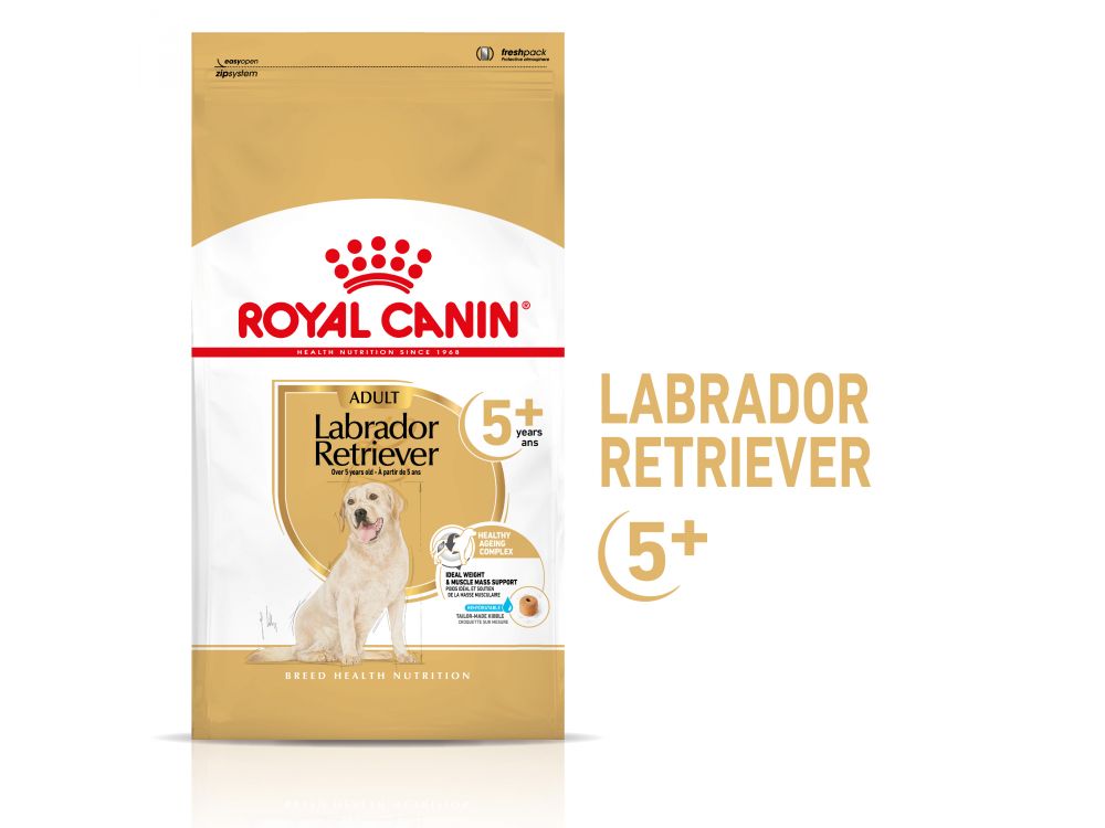 ROYAL CANIN LABRADOR RETRIEVER ADULT KARMA SUCHA DLA PSÓW DOROSŁYCH RASY LABRADOR RETRIEVER, POWYŻEJ 5 ROKU ŻYCIA 12 KG