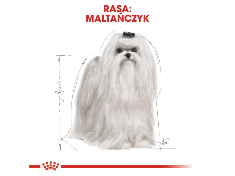ROYAL CANIN Maltese Adult karma sucha dla psów dorosłych rasy maltańczyk 0,5 KG