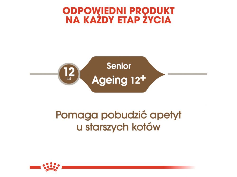 ROYAL CANIN Ageing +12 karma sucha dla kotów dojrzałych 4 KG