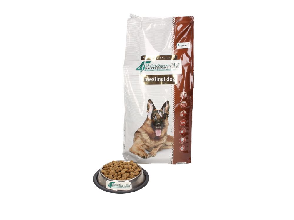 4T VETERINARY DIET DOG INTESTINAL  2 KG