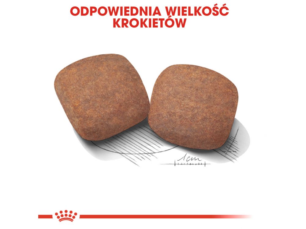 ROYAL CANIN Giant Adult karma sucha dla psów dorosłych, od 18/24 miesiąca życia, ras olbrzymich 15 KG