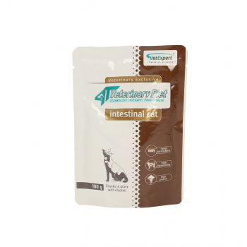 4T VETERINARY DIET CAT INTESTINAL 100 G SASZETKA