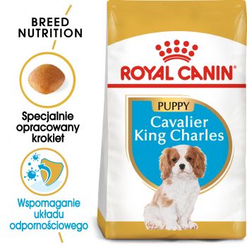 ROYAL CANIN Cavalier King Charles Spaniel Adult karma sucha dla szczeniąt do 10 miesiąca, rasy cavalier king charles spaniel 1,5 KG