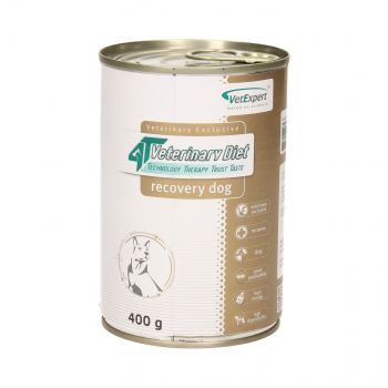 4T VETERINARY DIET DOG RECOVERY 400 G PUSZKA