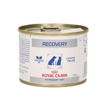ROYAL CANIN DOG/CAT RECOVERY 195 G