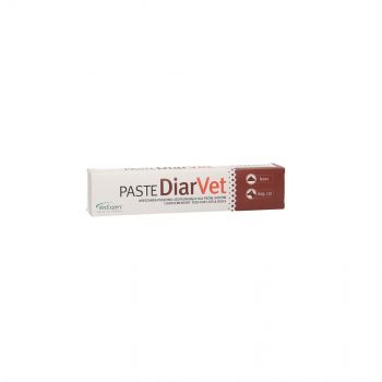 DIARVET PASTA 20 G