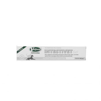 INTESTIVET GEL 15ML