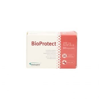 BIOPROTECT 60 KAPS.