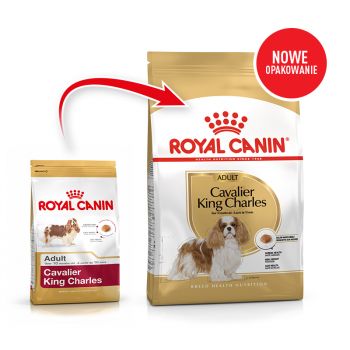 ROYAL CANIN Cavalier King Charles Spaniel Adult karma sucha dla psów dorosłych rasy cavalier king charles spaniel 1,5 KG
