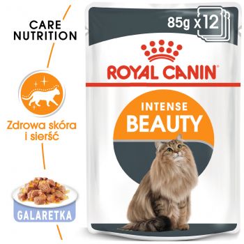 ROYAL CANIN Intense Beauty w galaretce karma mokra w galaretce dla kotów dorosłych, zdrowa skóra, piękna sierść 85 G