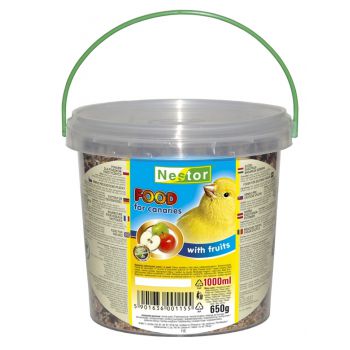 NESTOR POKARM DLA KANARKÓW OWOCOWY 1000 ML  115/M1000-K