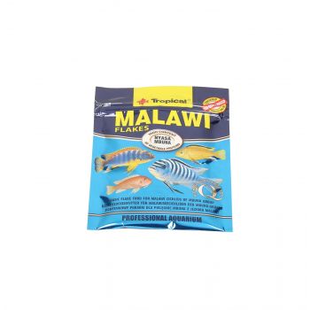 TROPICAL MALAWI 12G  73381