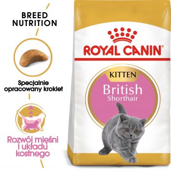 ROYAL CANIN BRITISH SHORTHAIR KITTEN KARMA SUCHA DLA KOCIĄT, DO 12 MIESIĄCA, RASY BRYTYJSKI KRÓTKOWŁOSY 10 KG