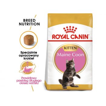 ROYAL CANIN MAINE COON KITTEN KARMA SUCHA DLA KOCIĄT, DO 15 MIESIĄCA, RASY MAINE COON 2KG