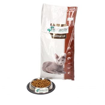 4T VETERINARY DIET CAT INTESTINAL 2 KG