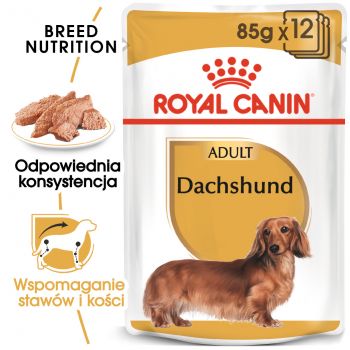 ROYAL CANIN Dachshund karma sucha - pasztet, dla psów dorosłych rasy jamnik 85 G