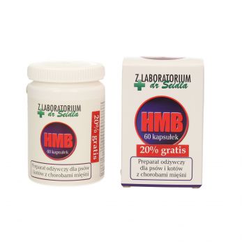 HMB 60 KAPSUŁEK + 20% GRATIS