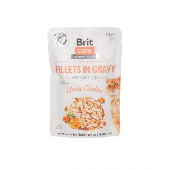 BRIT CARE SASZETKA 85G KOT FILECIKI W SOSIE KURCZAK