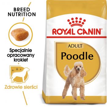 ROYAL CANIN Poodle Adult karma sucha dla psów dorosłych rasy pudel miniaturowy 1,5 KG
