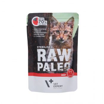 4T RAW PALEO CAT 100G STERILISED BEEF MEAT SASZETKA