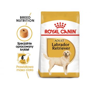 ROYAL CANIN LABRADOR RETRIEVER ADULT KARMA SUCHA DLA PSÓW DOROSŁYCH RASY LABRADOR RETRIEVER, POWYŻEJ 5 ROKU ŻYCIA 3 KG