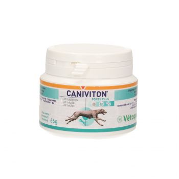 CANIVITON FORTE PLUS 30 TABL