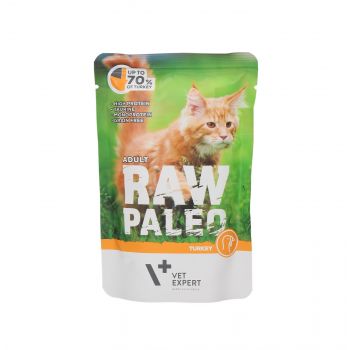 4T RAW PALEO CAT 100G ADULT TURKEY MEAT SASZETKA