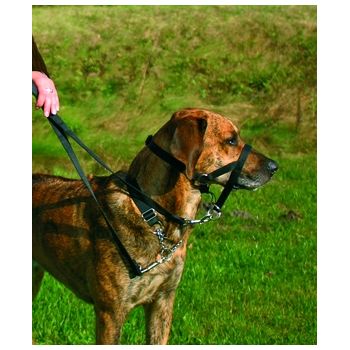 TRIXIE UPRZĄŻ TOP TRAINER L 31CM 13004