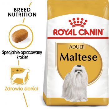 ROYAL CANIN Maltese Adult karma sucha dla psów dorosłych rasy maltańczyk 1,5 KG