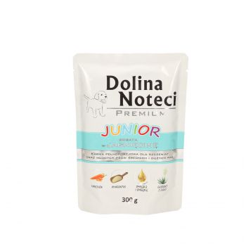 DOLINA NOTECI PREMIUM JUNIOR BOGATA W JAGNIĘCINĘ SASZETKA 300 G