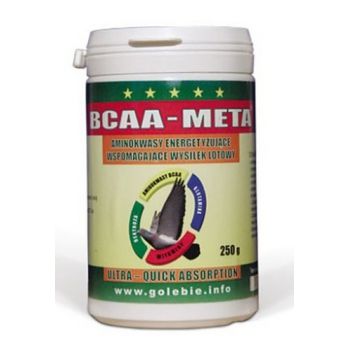 PATRON BCAA-META 250 G (AMINOKW.ODŻYWKA REGEN.)