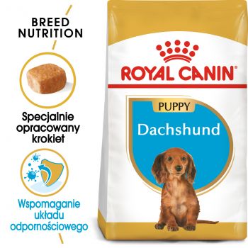 ROYAL CANIN DACHSHUND PUPPY KARMA SUCHA DLA SZCZENIĄT DO 10 MIESIĄCA, RASY JAMNIK 1,5 KG