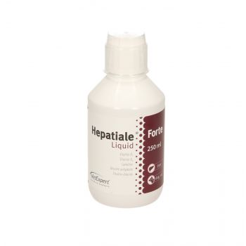 HEPATIALE FORTE LIQUID 250 ML