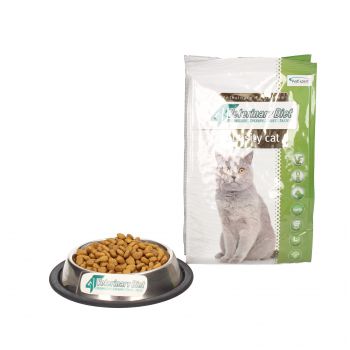 4T VETERINARY DIET CAT OBESITY  400 G