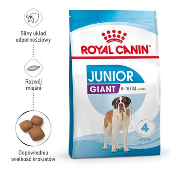 ROYAL CANIN GIANT JUNIOR KARMA SUCHA DLA SZCZENIĄT OD 8 DO 18/24 MIESIĄCA ŻYCIA, RAS OLBRZYMICH 15 KG