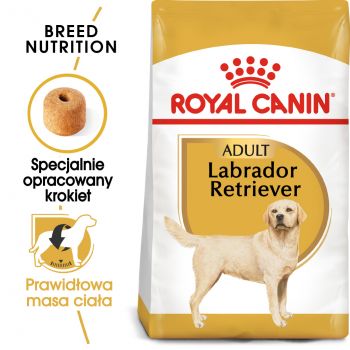 ROYAL CANIN Labrador Retriever Adult karma sucha dla psów dorosłych rasy labrador retriever 12 KG