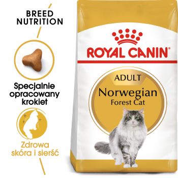 ROYAL CANIN Norvegian Forest Cat Adult karma sucha dla kotów dorosłych rasy norweski leśny 10 KG
