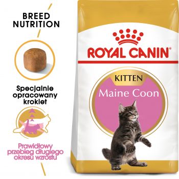 ROYAL CANIN MAINE COON KITTEN KARMA SUCHA DLA KOCIĄT, DO 15 MIESIĄCA, RASY MAINE COON 10 KG